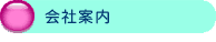 ЊTv